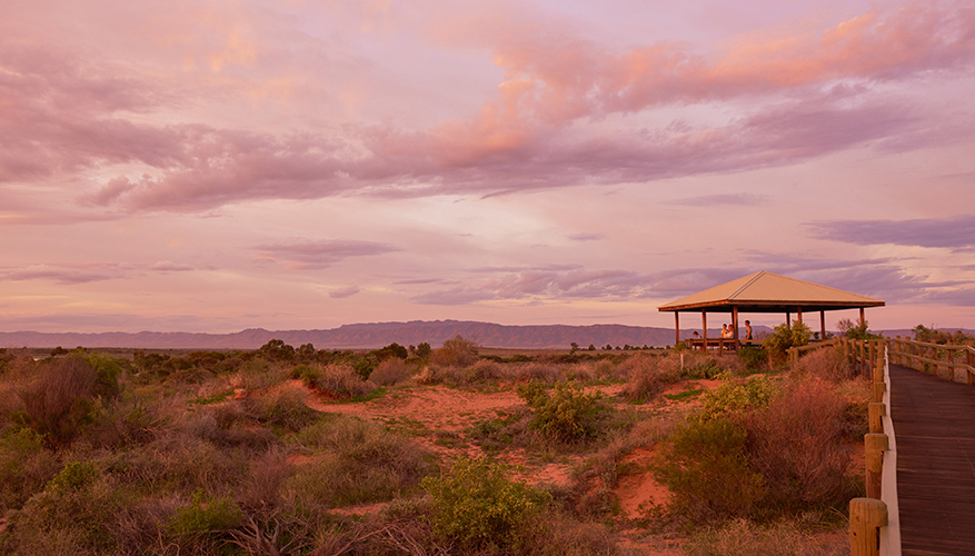 Arid Lands Botanical Garden